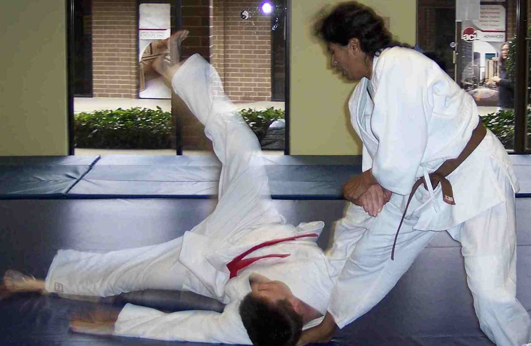 Description: Description: Description: Description: F:\Internet\hapkido\pictures_files\throw1.jpg